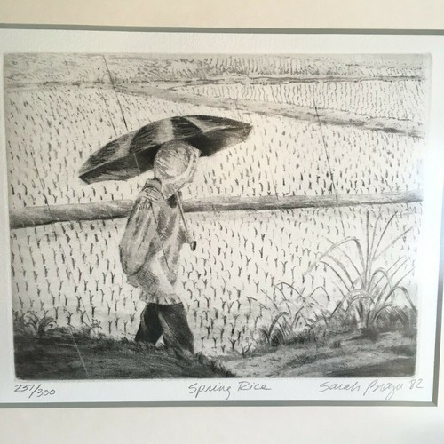 SARAH BRAYER "Spring Rice", 1982 Kanda's Gallery BOQ Aquatint Framed - Picture 4 of 8