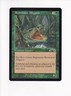 1998 MAGIC THE GATHERING MTG EXODUS ROOTWATER ALLIGATOR (PH)