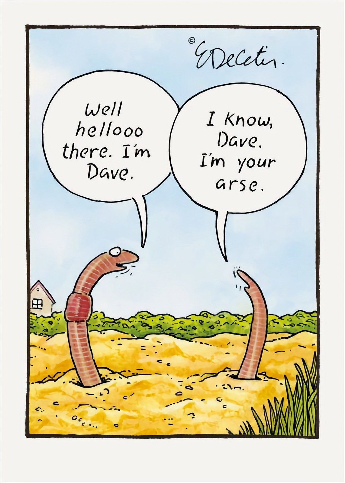 Happy Birthday Card Worm Dave I'm Your Arse Humour Joke Funny Rude Male Female