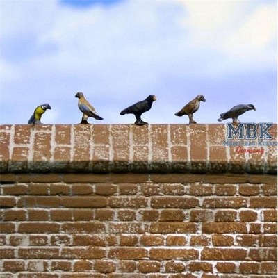 Reality in Scale RIS35257 Small Birds Set 1