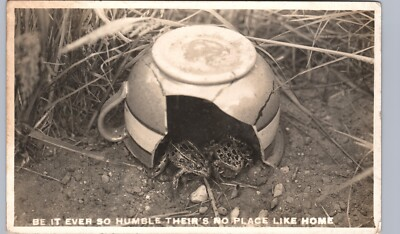 #ad FROGS IN A BROKEN DISH mahnomen mn real photo postcard rppc unusual strange $10.56