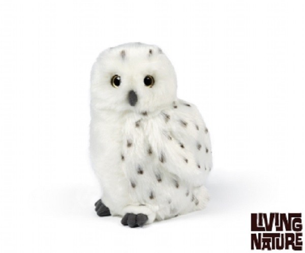 cuddly owls