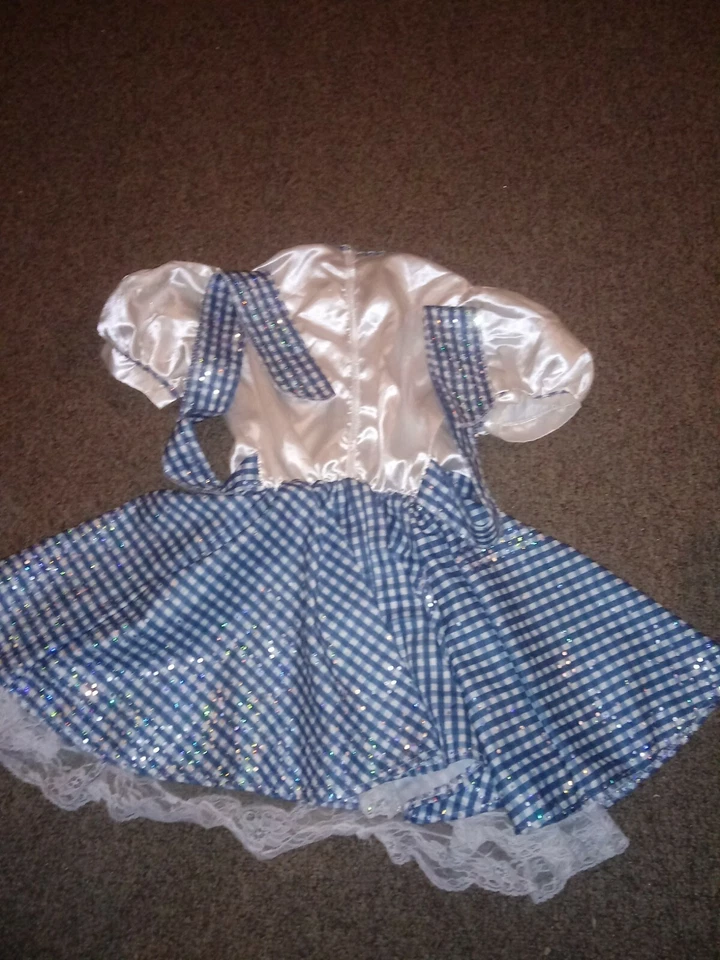 WIZARD OF OZ DOROTHY ПЛАТЬЕ КОСТЮМ ДЛЯ ХЭЛЛОУИНА ДЕВОЧЕК РАЗМЕР MED 7-8 БЛЕСТКАМИ БЛЕСТЯЩИЙ - Изображение 3 из 4