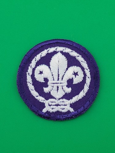 World Crest Uniform Patch Plastic Back BSA Scouts America