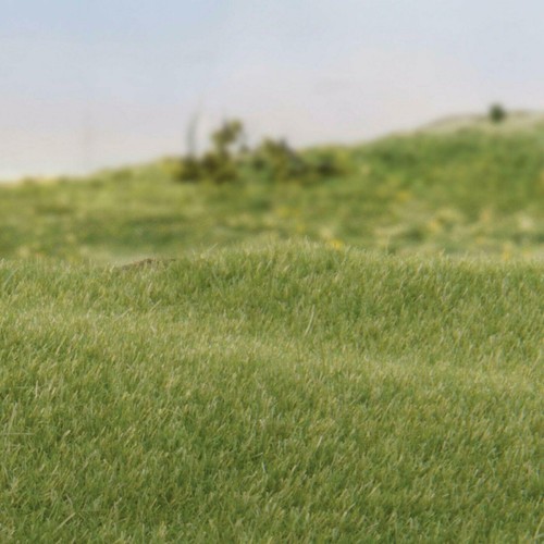 Woodland Scenics Static Grass System Model Field Scenery N, OO, O 32 Options - Afbeelding 13 van 67