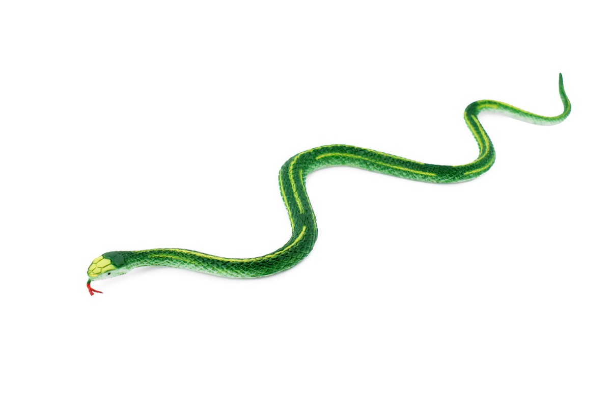 Garter Snake, Green, Rubber Reptile Flexible Realistic Model Toy