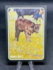 TOPPS HERITAGE 2024 ORLANDO CEPEDA “BABY BULL” SHORT PRINT Nickname Card