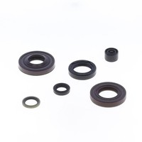 Parolio Motor Fantic Trial FüR Fantic Motor 50 1 Raider 50 86-93 2T