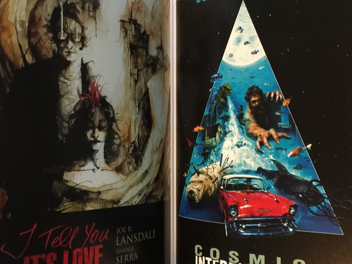 JOE R LANSDALE World Lansdalean 2022 SST SGND ltd horror bibliography slipcase!! - Foto 12 di 24