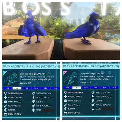 ARK ASCENDED PVE OFICIAL PAIR BABY ARGY ID194 SOLID HIGH STATUS  PS5/PC/XBOX