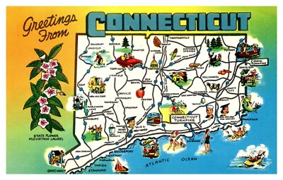 Greetings From Connecticut Mountain Laurel Illustrated Map Postcard AE17