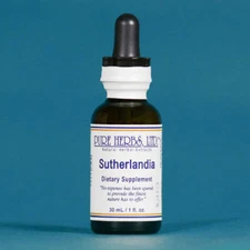 Pure Herbs: Sutherlandia - 1 oz.