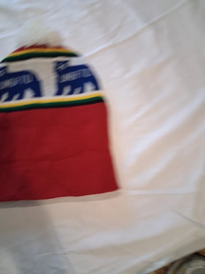 Undefeated Polar Bear Winter Beanie Hat Never Worn One Size - Image 2 of 4