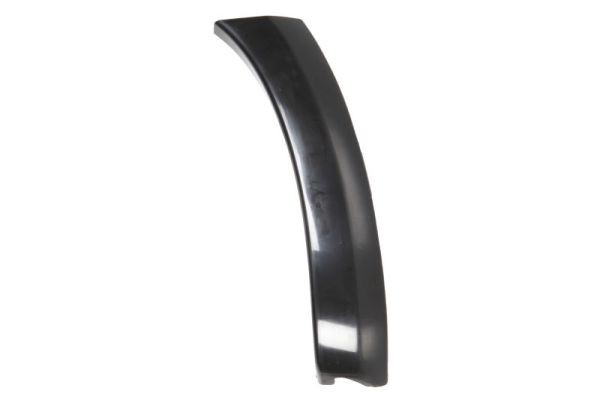Right Front BLIC 5703-08-8179380P Trim/Protection Strip, wing for TOYOTA
