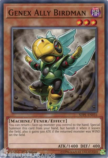 SDPL-EN016 Genex Ally Birdman 1st Edition Mint YuGiOh Card