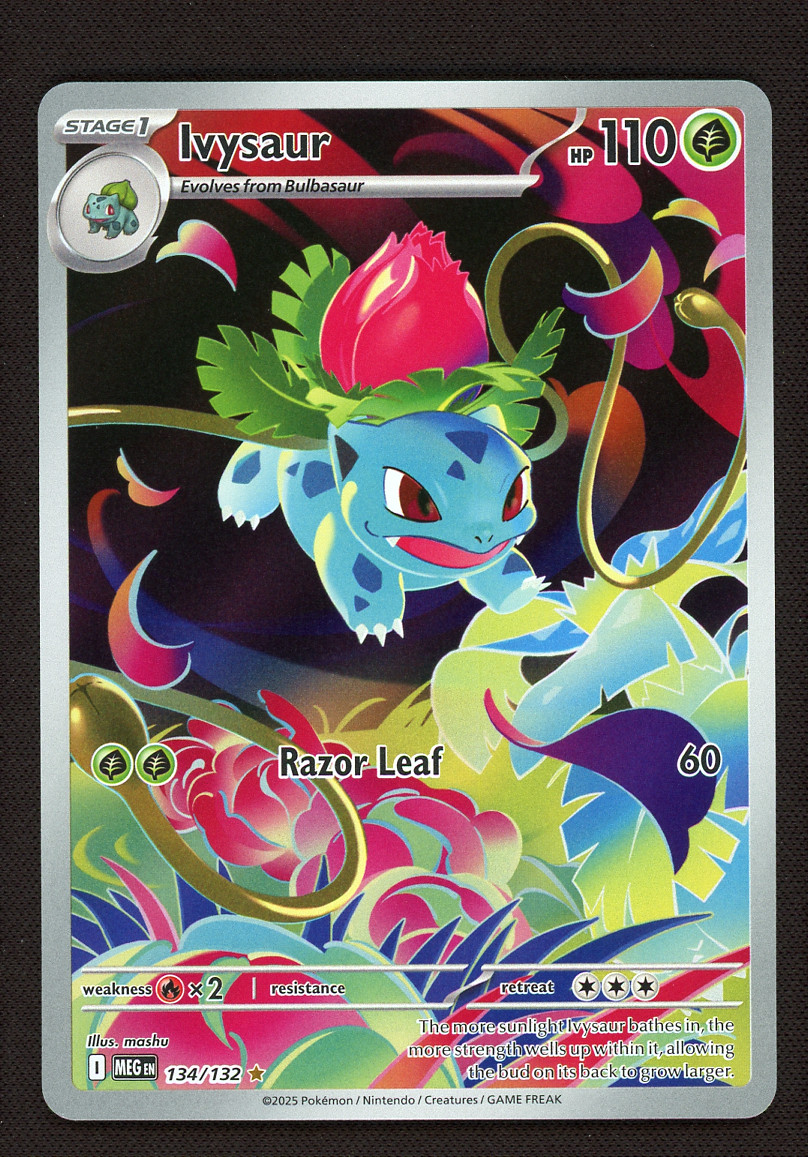 Ivysaur 134/132 Illustration Rare - Pokemon Mega Evolution Base Set - LP