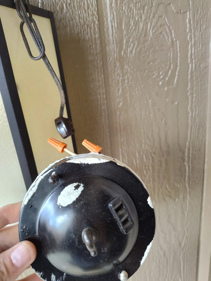 araña vintage Foto 3 de 4