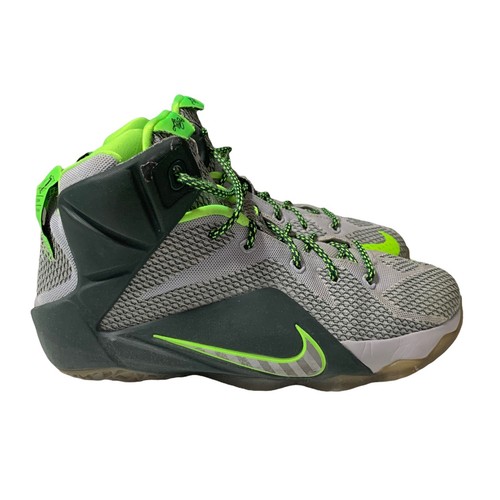 lebron 12 dunkman