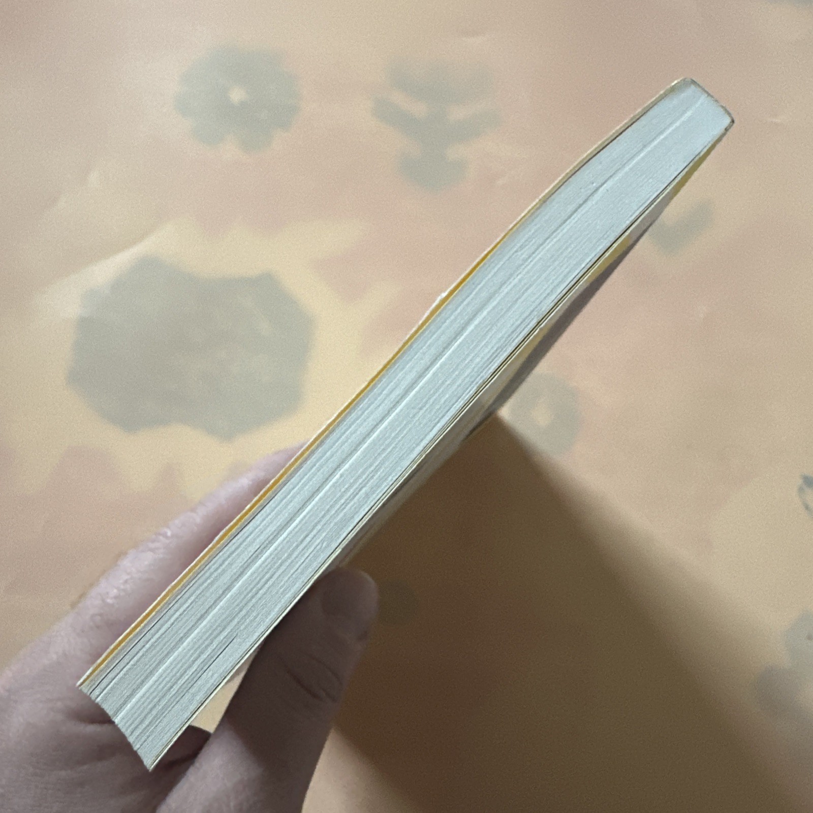 (#67).1987 The Movie: Barfly by Charles Bukowski Paperback Book