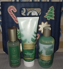 Bath  Body Works Eucalyptus Mist, Body Lotion, Body Wash  Gift Bag NEW