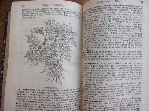 Agriculture. Le nouveau jardinier. 500 dessins 1877. 2/2vols - Picture 11 of 11