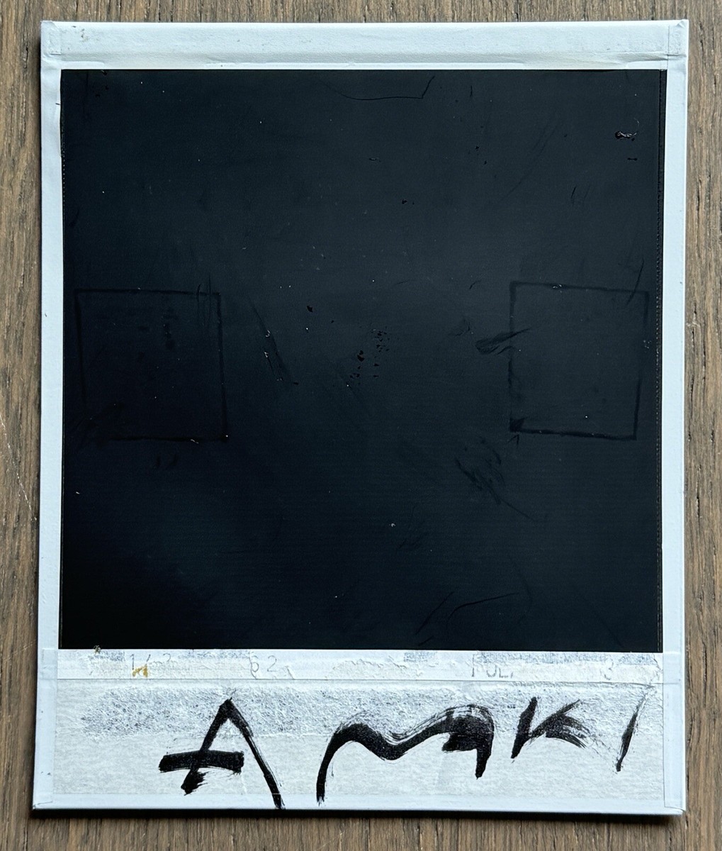 ヒトミ サインポラロイド RARE SIGNED! Nobuyoshi Araki - Hitomi KOBAYASHI, Original Polaroid