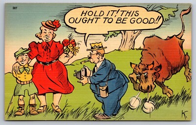 Bull Attacking Man Taking Family Photo Vintage Comic Postcard Photographer