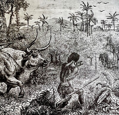 #ad Hunting The Elephant 1890 Engraving Victorian Stanley In Africa Animals DWAA2E $25.99