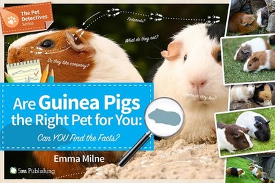 Are Guinea Pigs the Right Pet for You: Can You Find the Facts? (