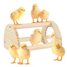 Pine Chicken Perch with Mirror, Strong Chick Jungle Gym Roosting Bar, Chicken...