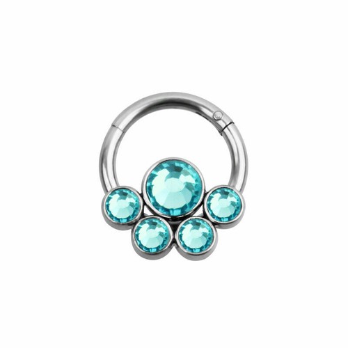 Klappsegment Nasenring Septum Clickerring CZ Opal Knorpel Helix Tragus Hoop - Bild 15 von 59