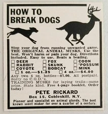 1962 Print Ad How To Break Dogs from Chasing Deer Pete Rickard Cobleskill,NY