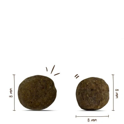 bosch HPC Mini Senior | Hundetrockenfutter für ältere Hunde kleiner Rassen bi... - Bild 4 von 4