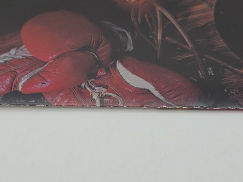 Folleto fotográfico autografiado de Mike Tyson 6x11" - Tyson Vs. McNeeley 1995, con certificado de autenticidad - Imagen 14 de 16