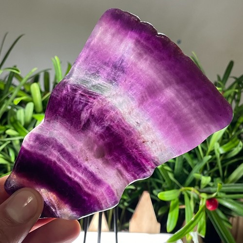 257g Natural Rainbow Fluorite Slice Crystal Mineral Specimen Reiki+Stand - Picture 9 of 13