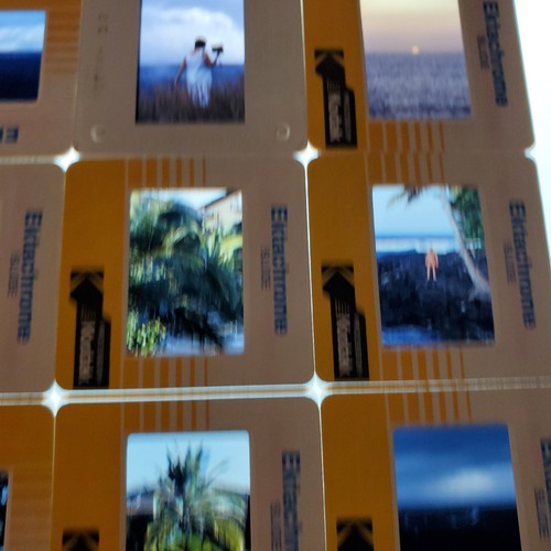 Vtg 30+ 1984 Kodak Ektachrome Slides Hawaii Vacation Hotel Wildlife Lava Fields - Picture 5 of 12