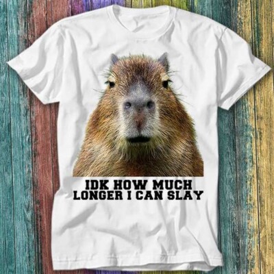 T-Shirt Idk How Much Longer Opossum I Can Slay sarkastisch Capybara Top 176