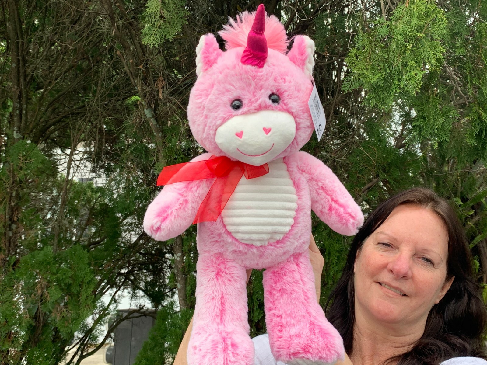 kermit the frog stuffed animal walmart