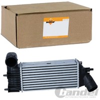 NRF LadeluftkÜHler Passend FüR Peugeot 406 Break 607 CitroËN C5 II 2.0 - 2.2 HDI