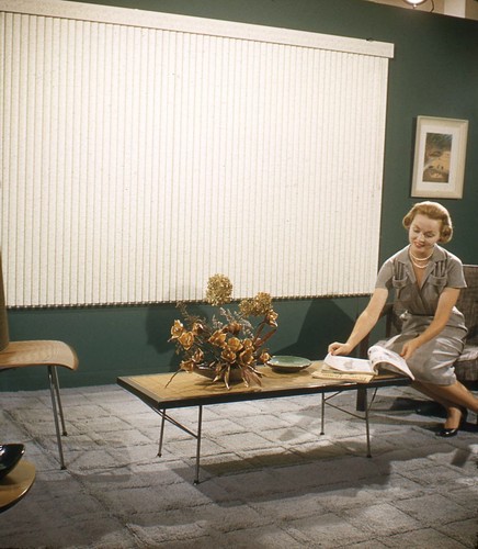 Vintage Stereo Realist Foto 3D Dia MID CENTURY MODERN Vertikaljalousien Modell