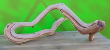 Circular Snake Shape Manzanita Branch Sandblasted
