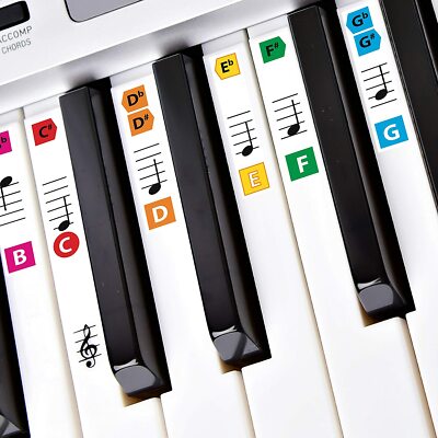 Best Reusable Color Piano Key Note Keyboard Non Stickers for Adults & Children