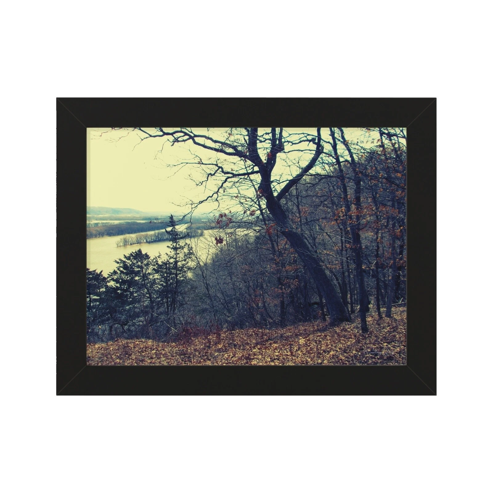 Reproduction Signed Framed Home Décor Posters & Prints