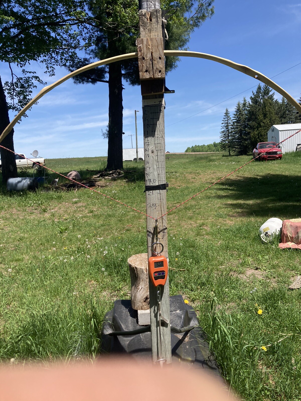 Handcrafted Sinew Backed Primitive Flat Bow /walking Stick ,56lb/27”