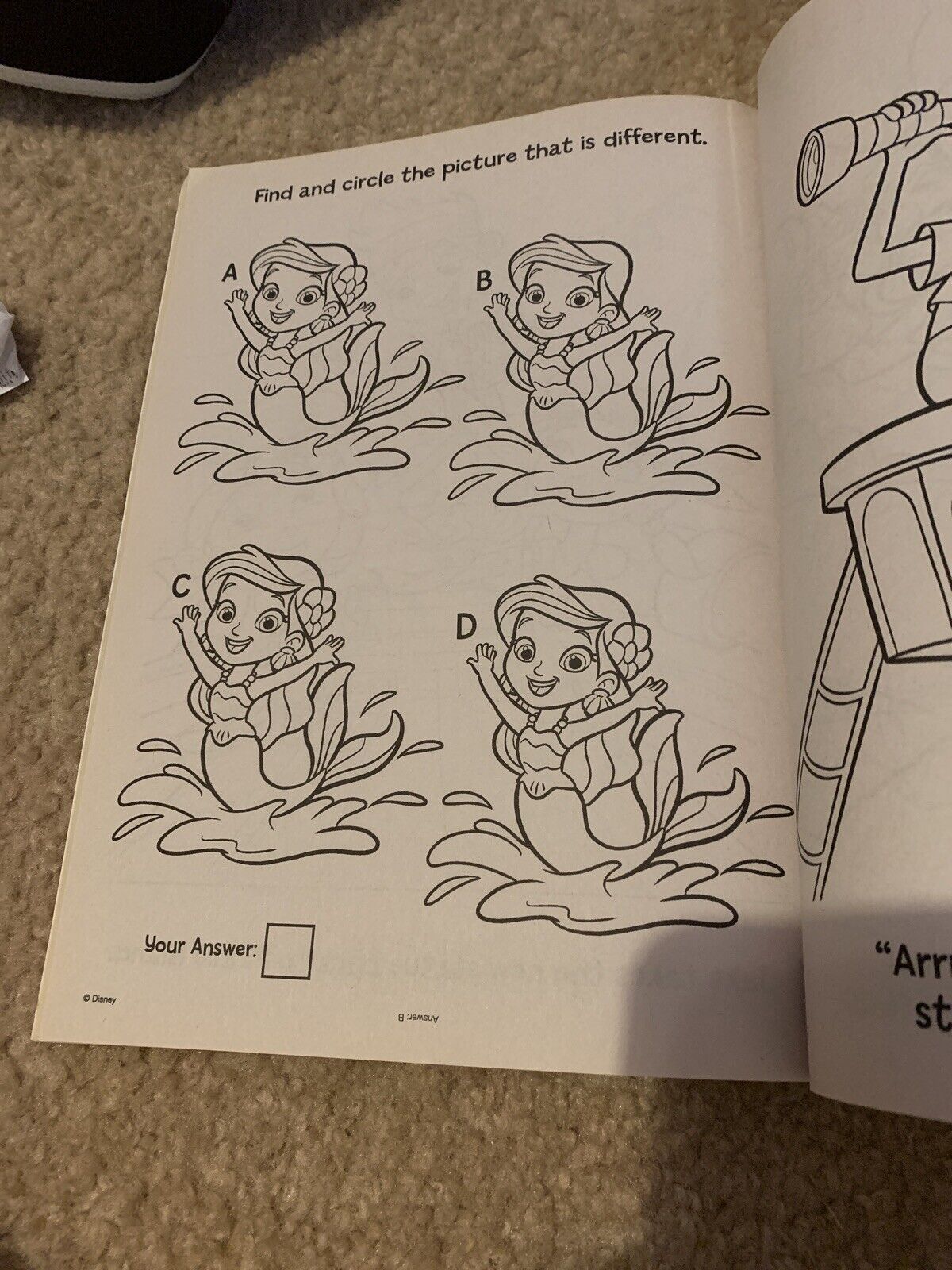Picture 8 of 8