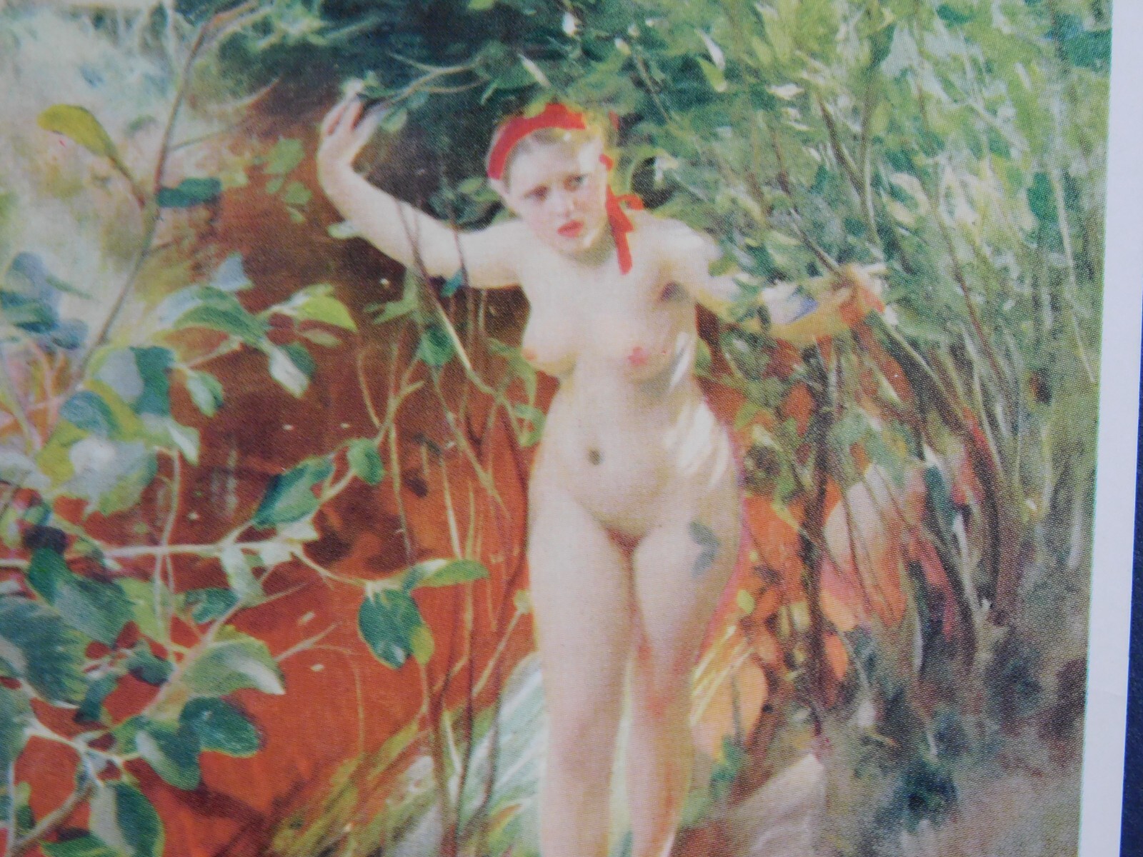 Bild 3 von 8