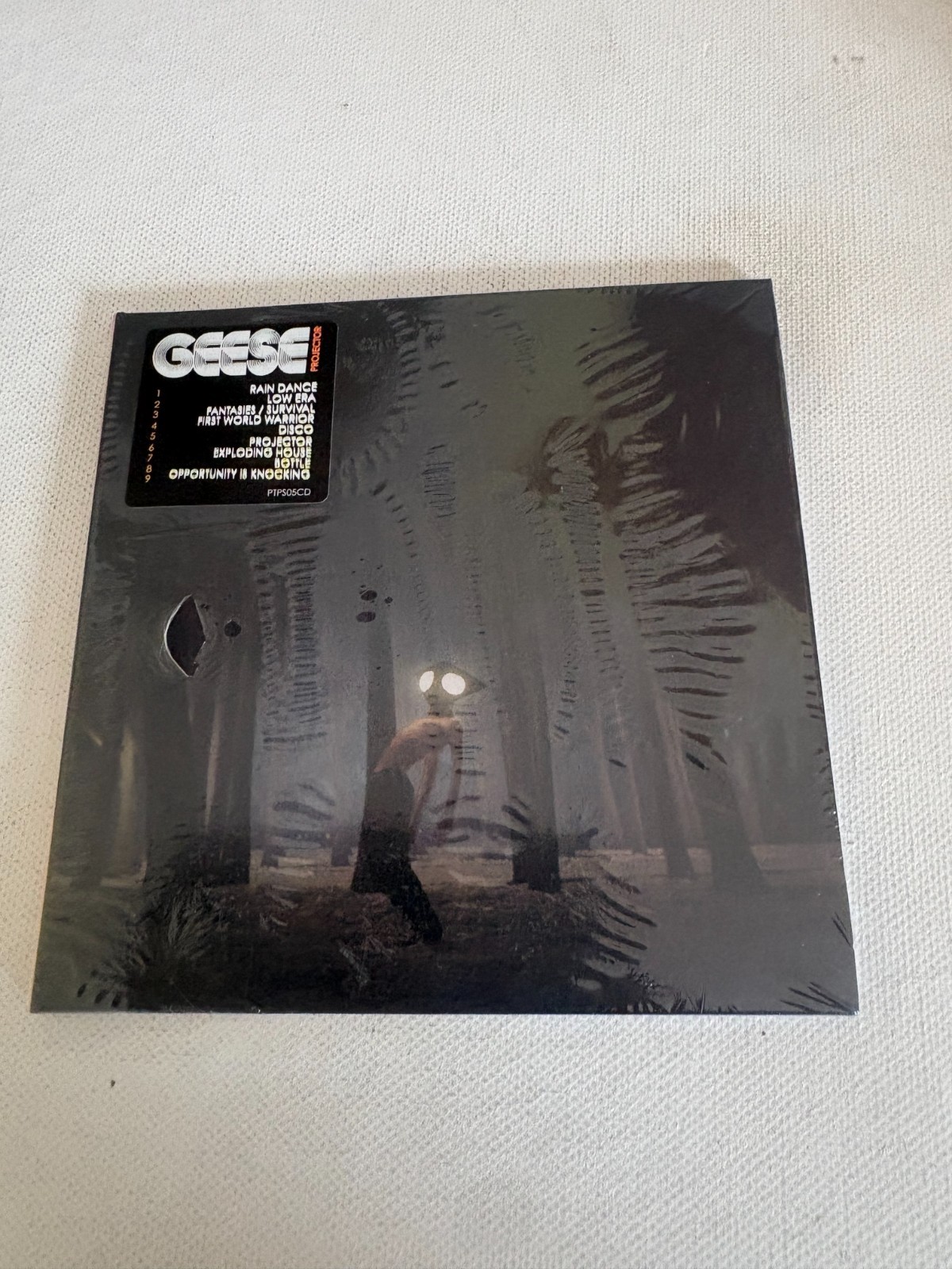 GEESE - Projector - NEW