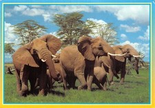 KENYA MOMBASA INDIAN OCEAN