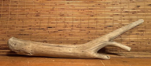 Beautiful 31" DRIFTWOOD Piece Terrarium Taxidermy Aquarium Art Reptile DECOR - Picture 10 of 13