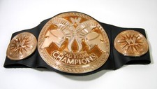 WWE 2010 Mattel Tag Team Championship Wrestling Belt Kids